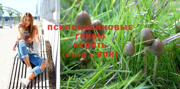 каннабис Баксан